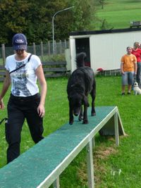 Hundesport4